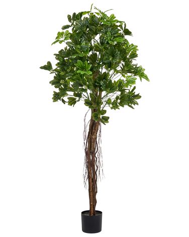 Artificial Plant UMBRELLA TREE 175 cm Green