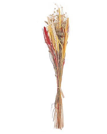 Droogbloemen boeket PAMPELUNA 65 cm Natuurlijk