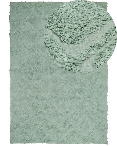 Rug HATAY Light Green 160 x 230 cm Cotton