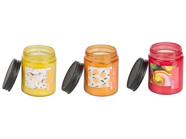 Lot de 3 bougies parfumées FRUITY BLOOM Cire de soja Notes fruitées