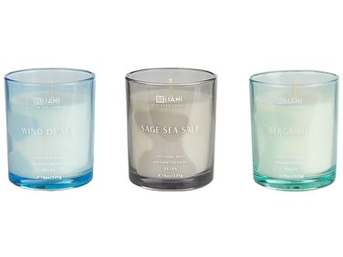 Set of 3 Scented Candles SHEER JOY Soy Wax Fresh Notes