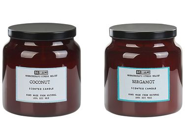 Set of 2 Scented Candles ABSOLUTE ALCHEMY Soy Wax Fresh Notes