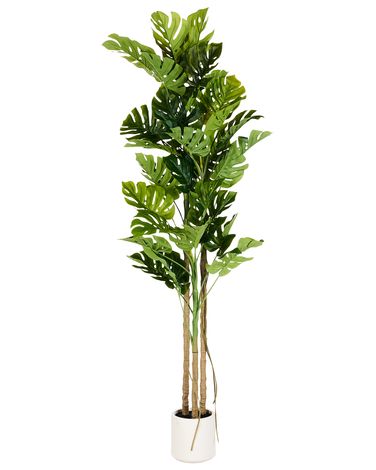 Artificial Plant MONSTERA PLANT 221 cm Green