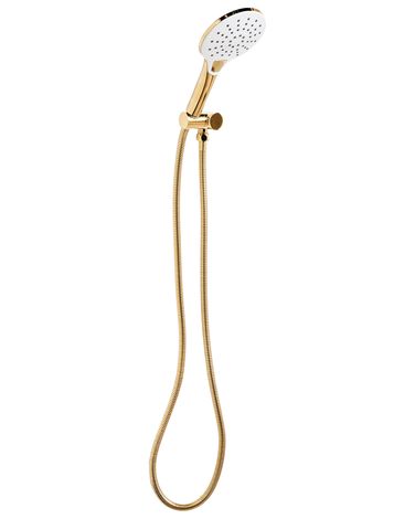 Shower Head and Hose Kit IQUIRA 4-function Gold