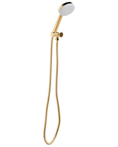 Shower Head and Hose Kit AYPATE Gold